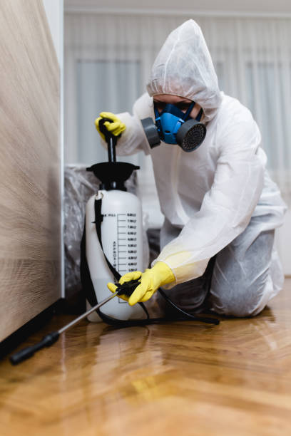 Emergency Pest Control Services in Petoskey, MI